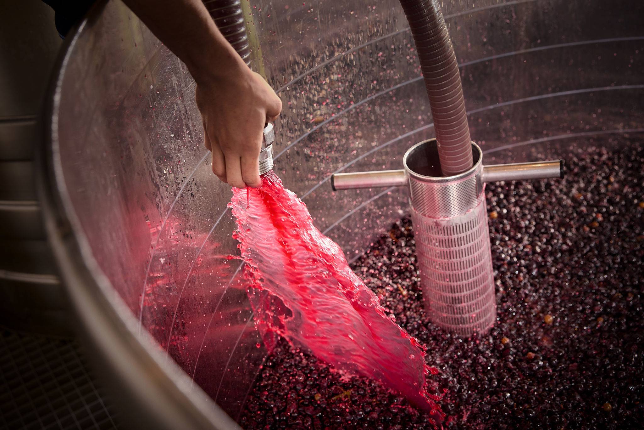 Hospices de Beaune – Visit & Tasting