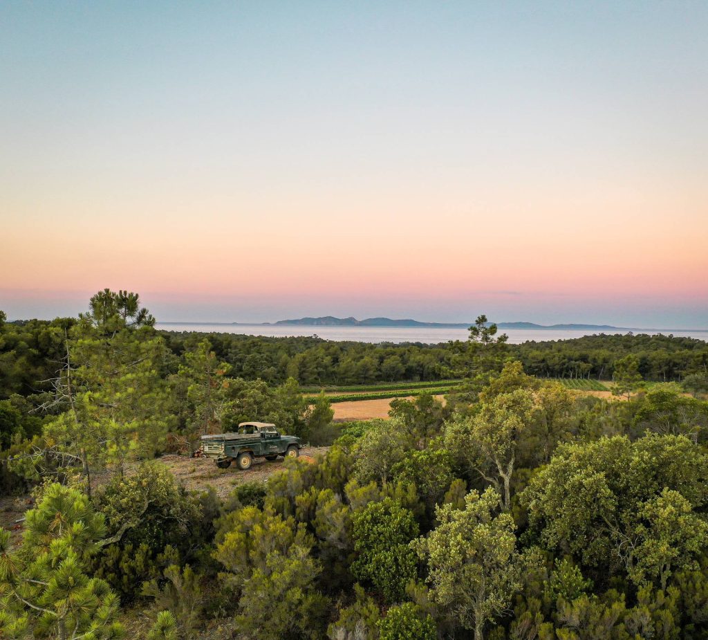 Wine tour and wine tasting at Domaine de la Sanglière