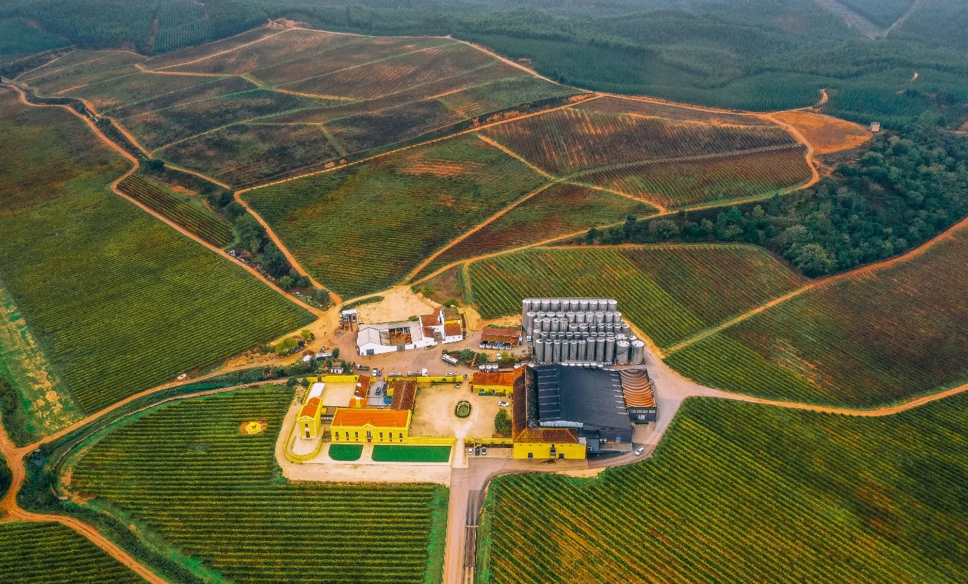 Quinta do Gradil – Visita & Prova Premium