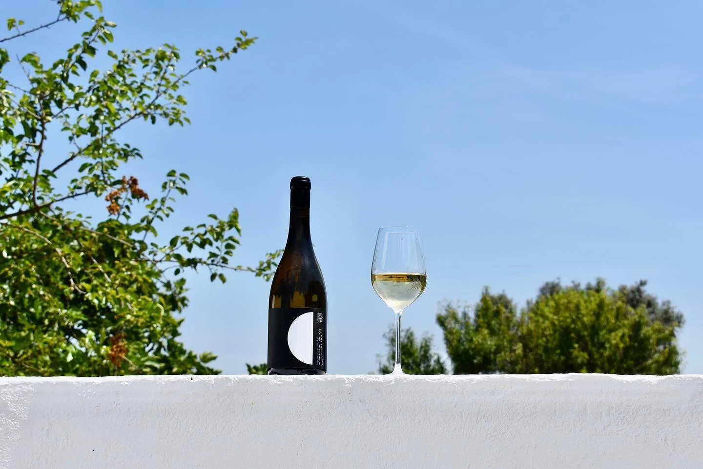 Morgado do Quintão – Jantar nas Vinhas