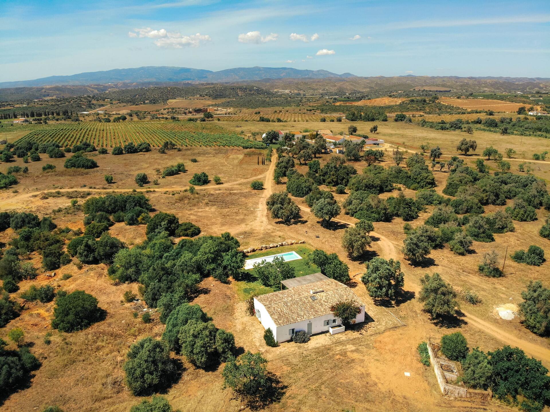 Morgado do Quintão – Jantar nas Vinhas