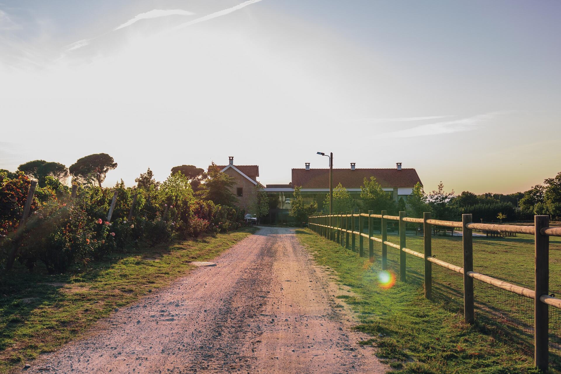 Quinta Madre de Água – Prova de Vinhos