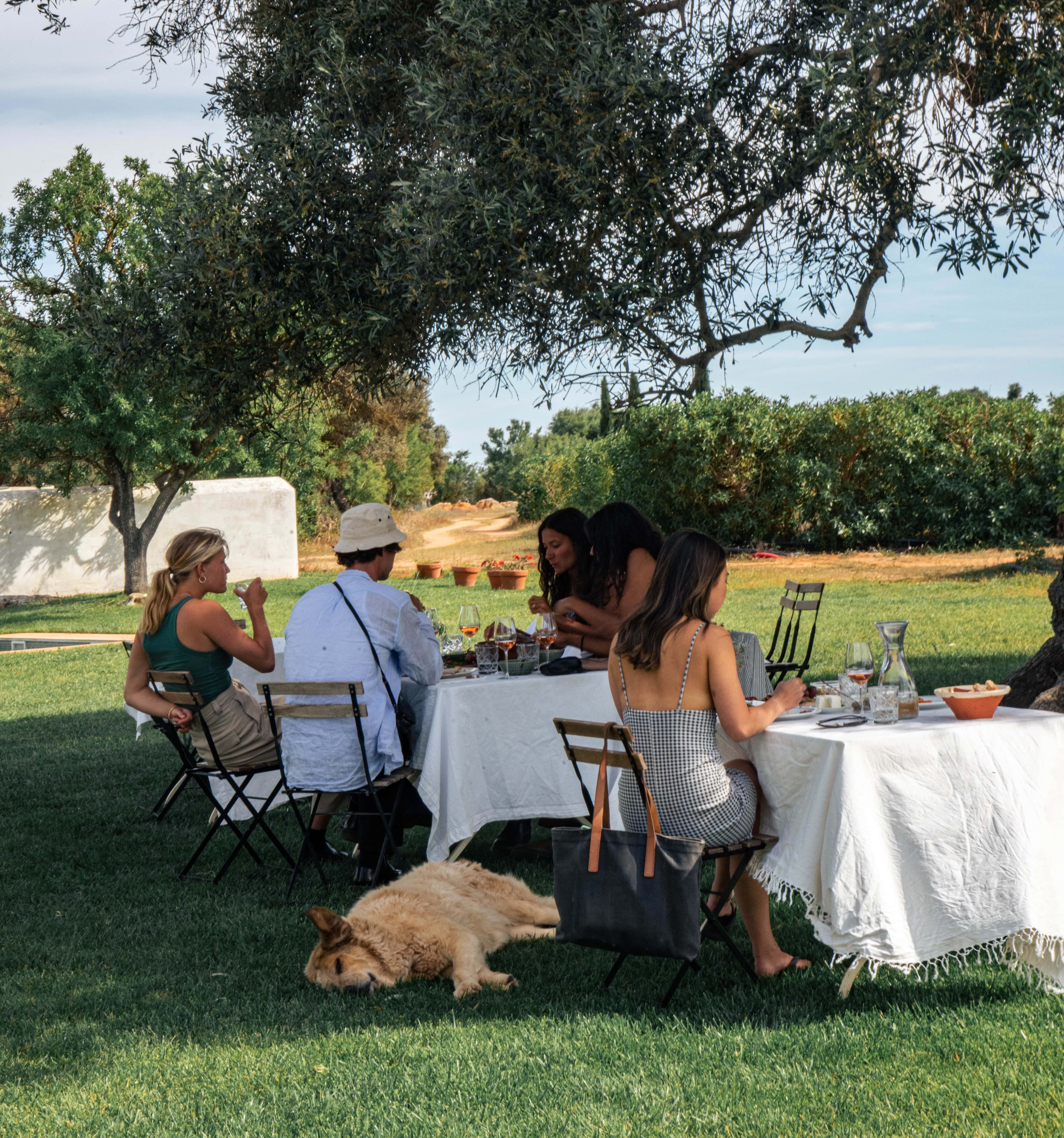 Morgado do Quintão – Jantar nas Vinhas