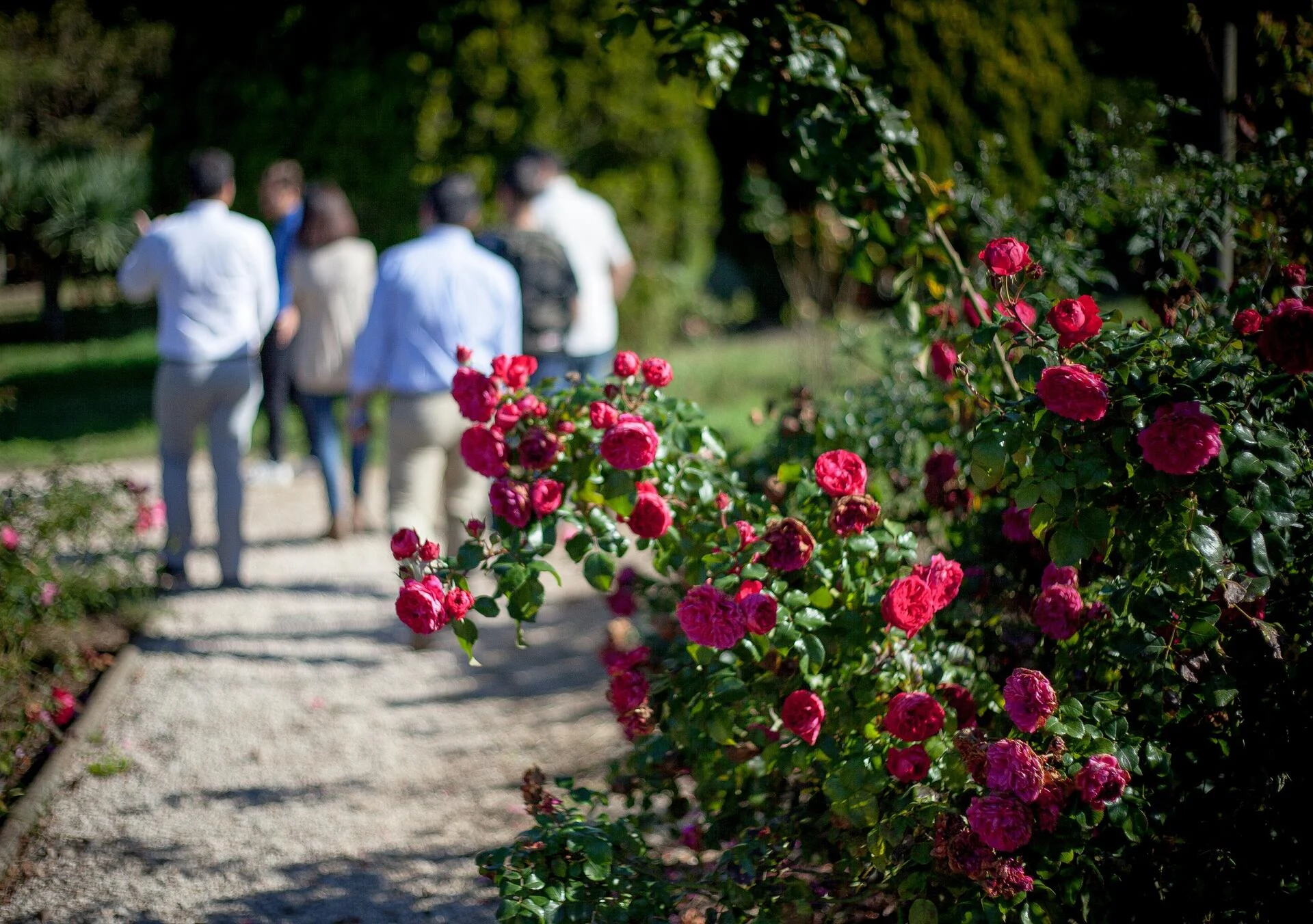 Casal Sta. Maria – Piquenique
