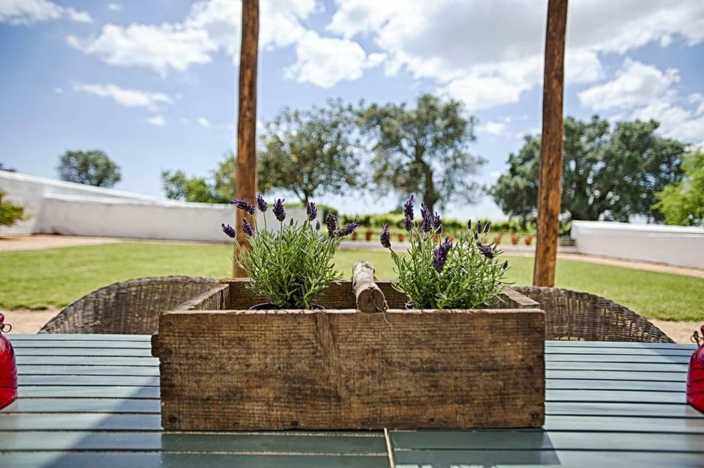 Morgado do Quintão – Cooking Workshop