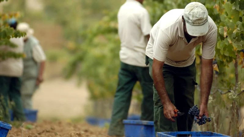Herdade dos Grous – Prova Seleção