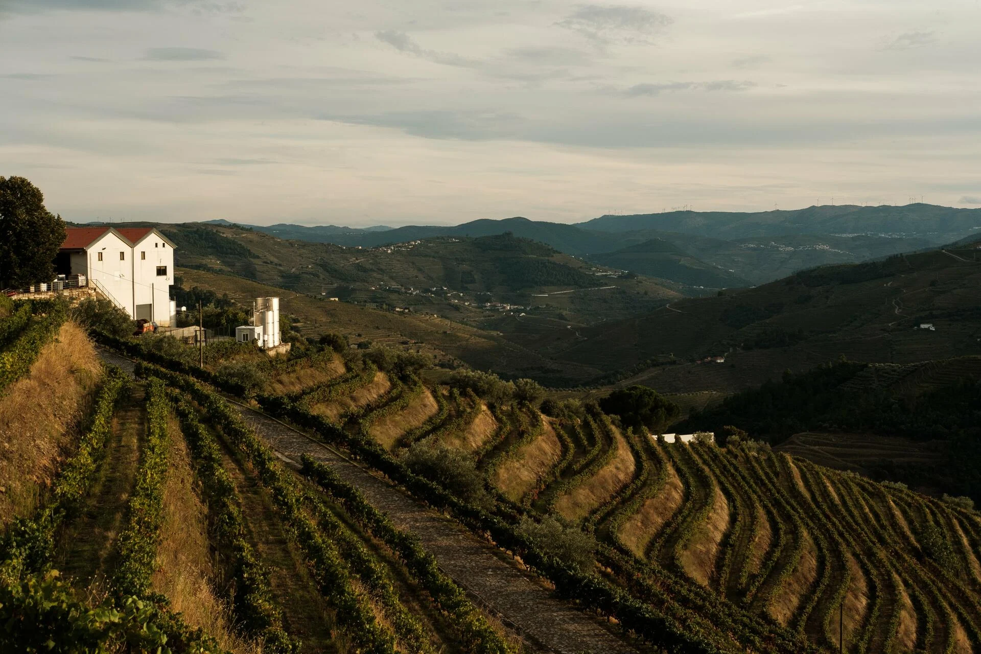 Quinta da Pedra Alta – Master’s Tasting