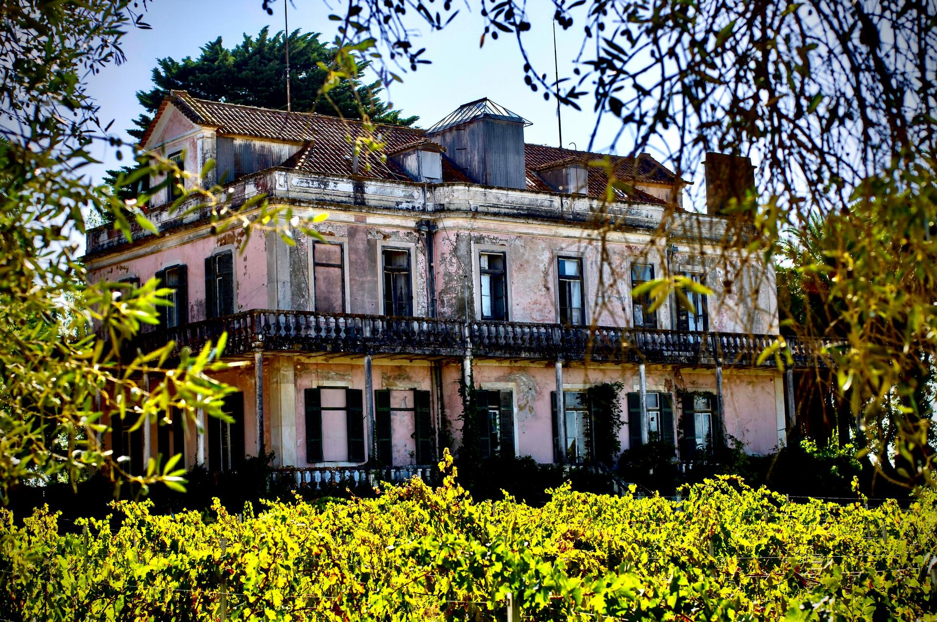 Quinta São João Batista – Caminhada & Piquenique