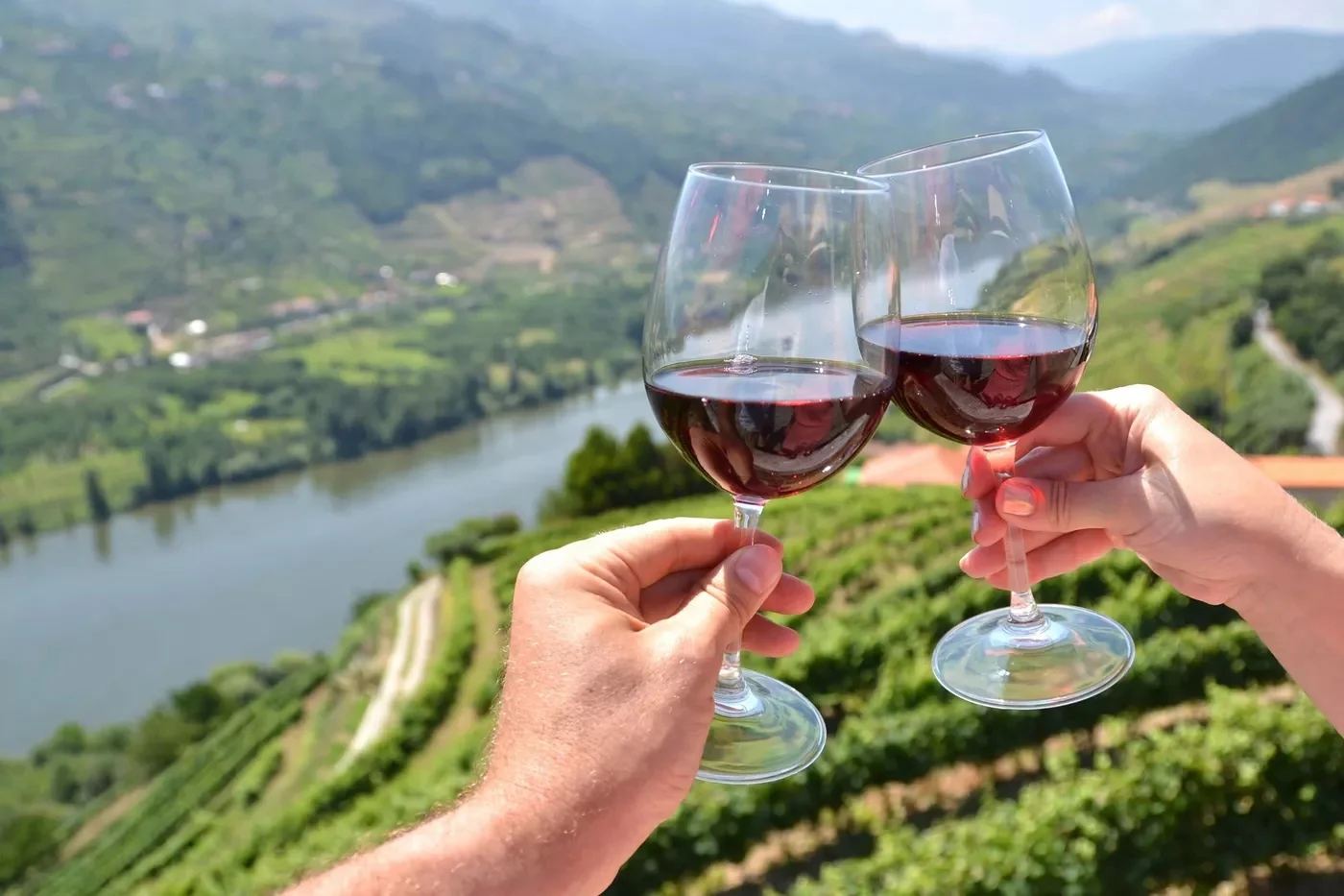 Tour Premium Privado ao Vale do Douro