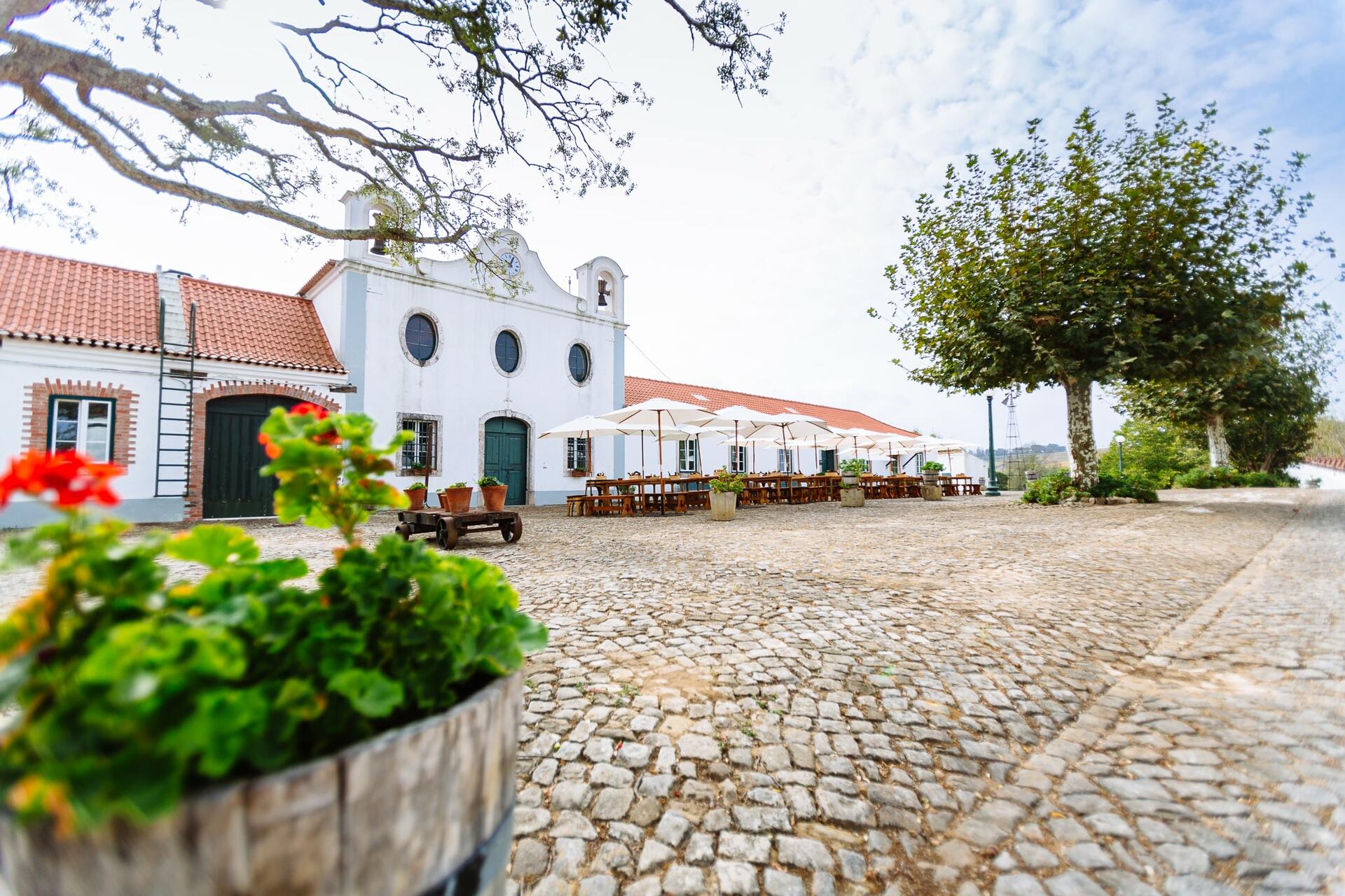 Quinta do Monte d’Oiro – Visita & Prova d’Oiro