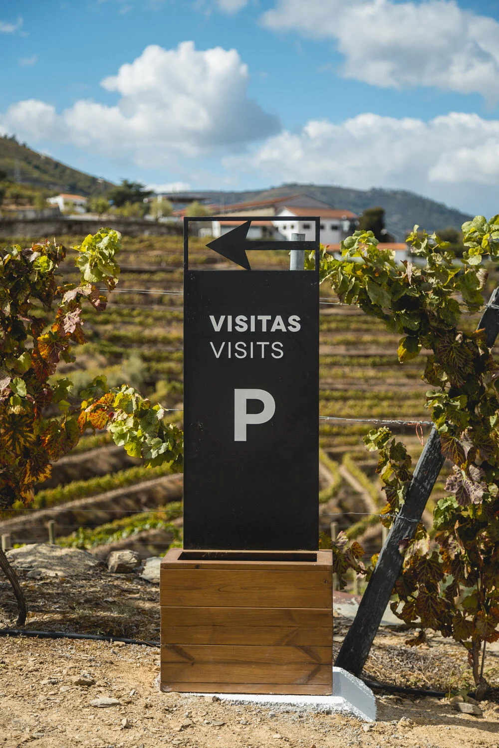 Quinta de São Luiz – Prova Premium DOC Douro