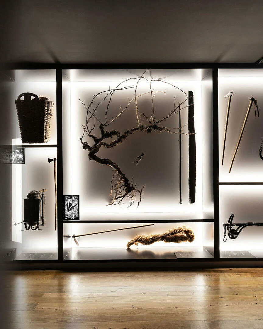 Real Companhia Velha – Visita Vintage