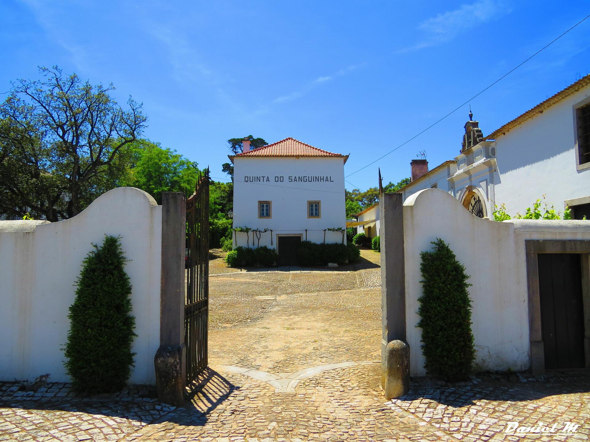 Quinta do Sanguinhal – Prova & Almoço