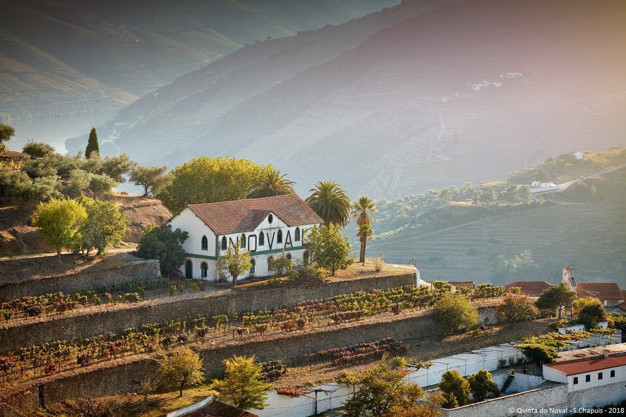 Quinta do Noval – Almoço Harmonizado