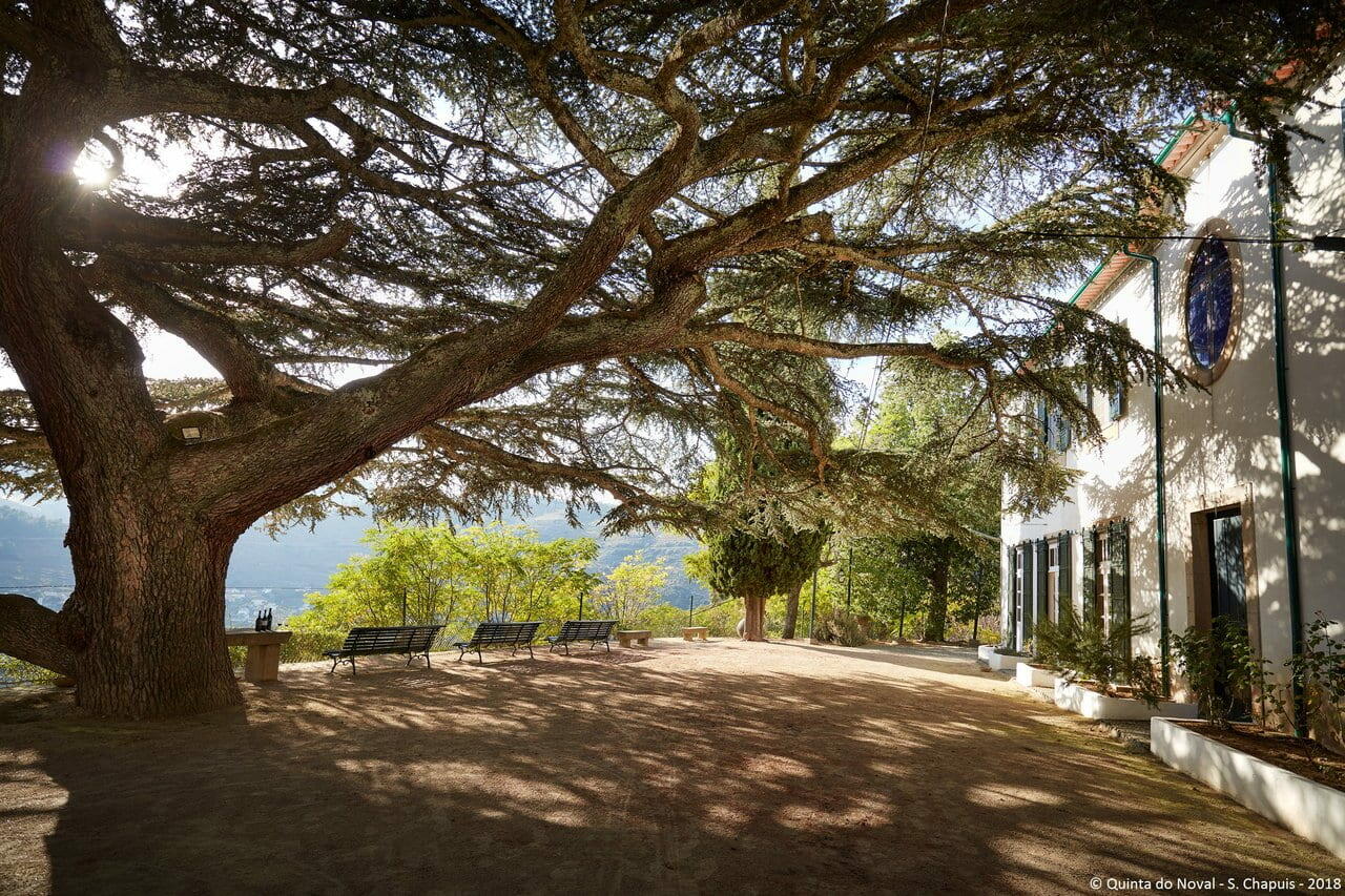 Quinta do Noval – Almoço Harmonizado