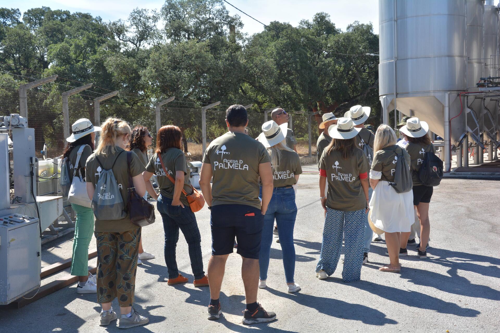 Adega de Palmela – Um Dia de Vindima