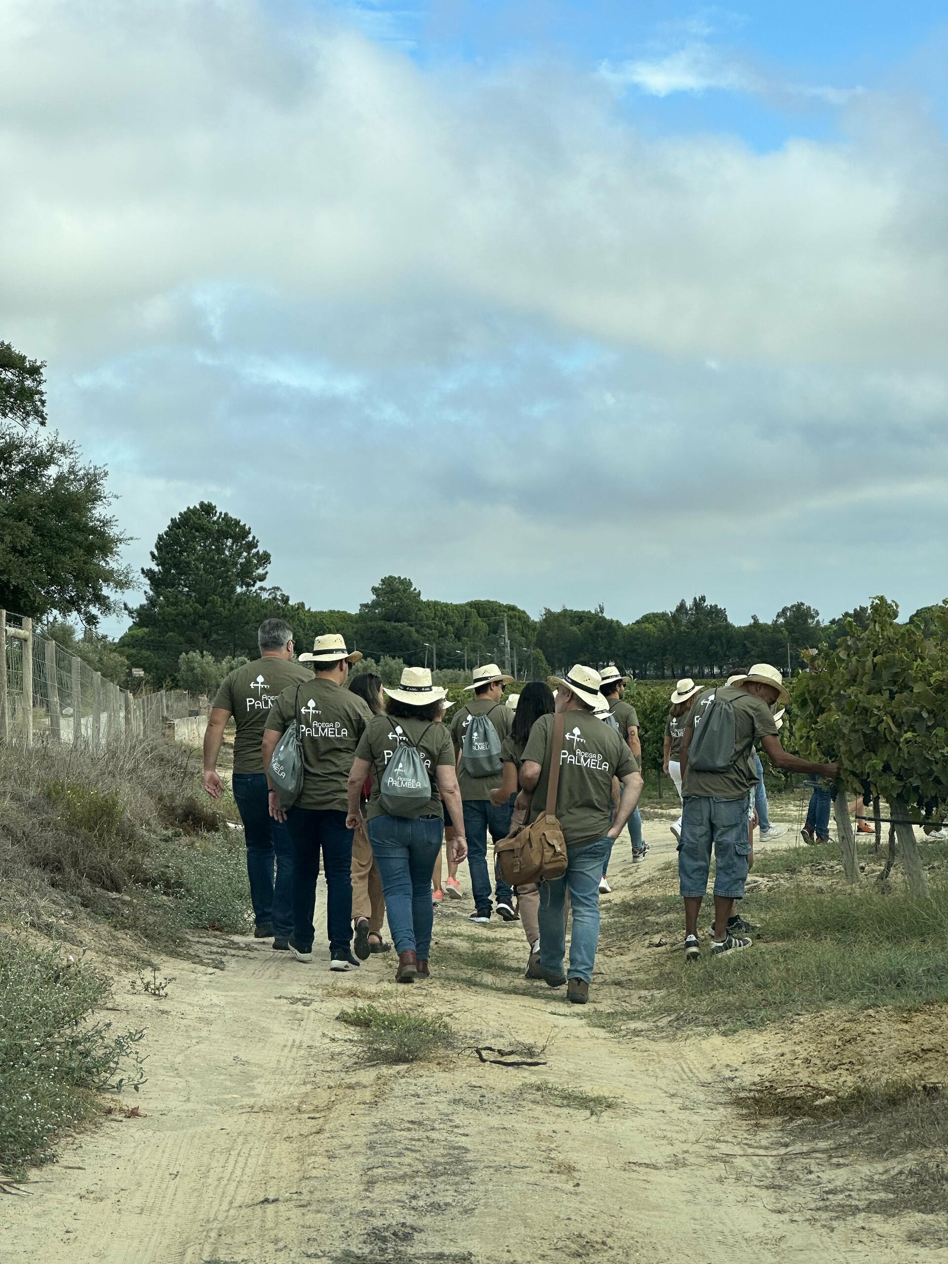 Adega de Palmela – Um Dia de Vindima