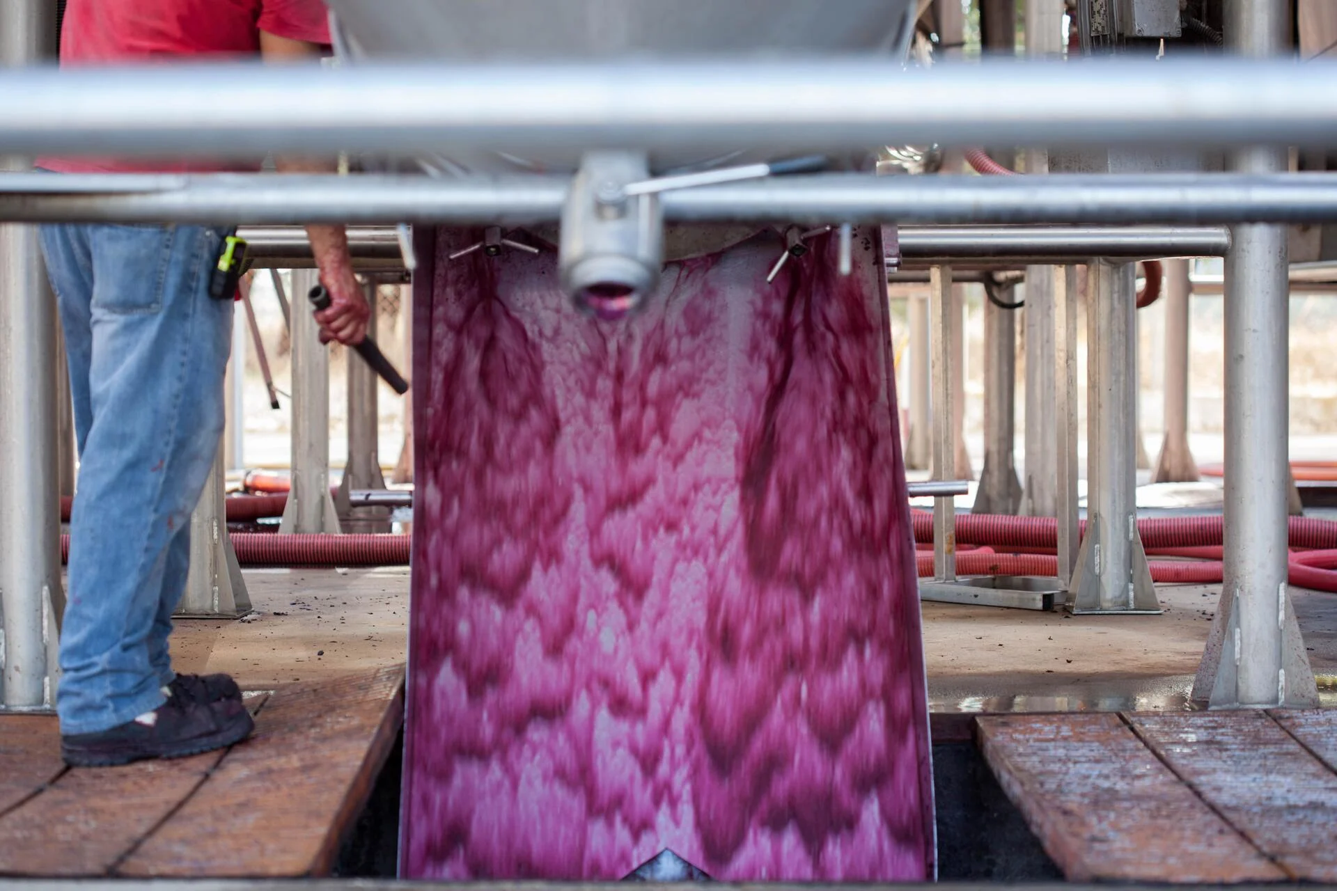 Adega de Palmela – Um Dia de Vindima