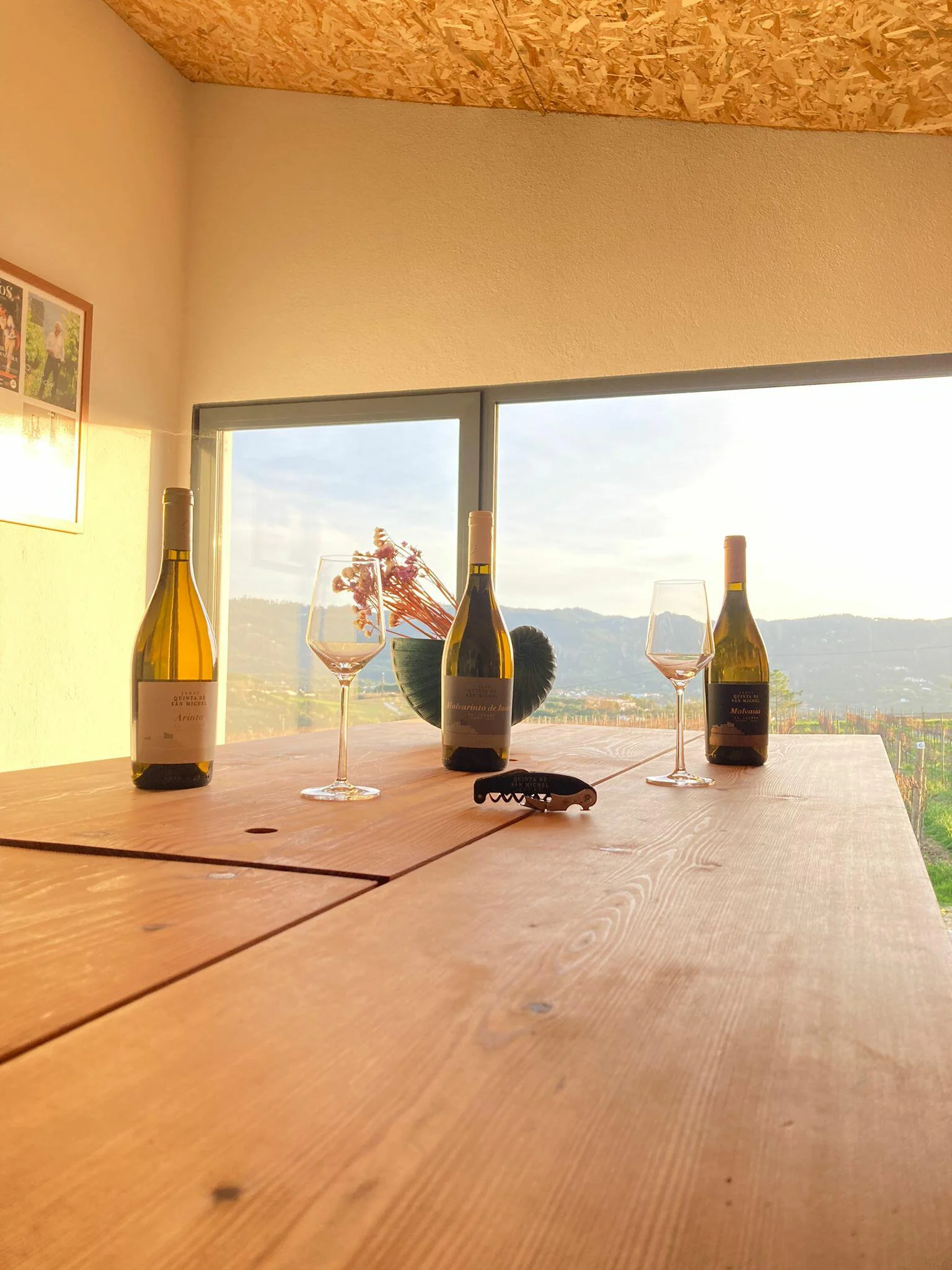 Quinta de San Michel – Os Quatro Ventos de Janas