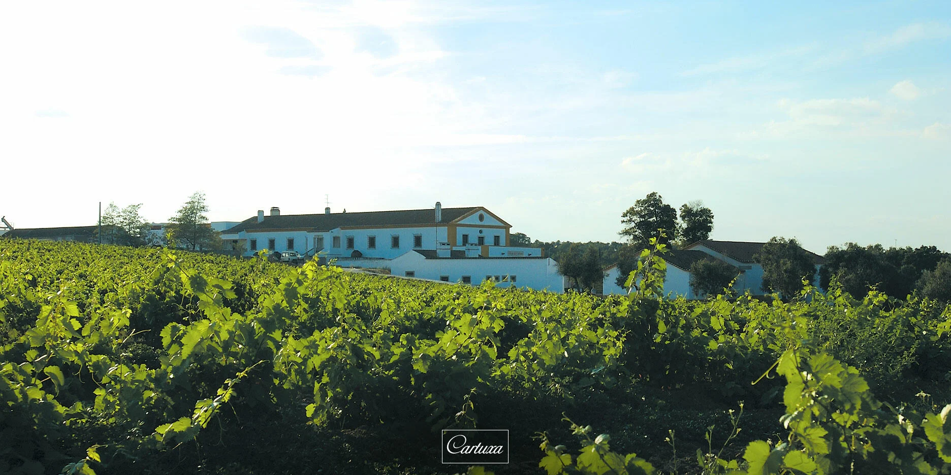 Enoturismo Cartuxa – Visita & Prova Cartuxa