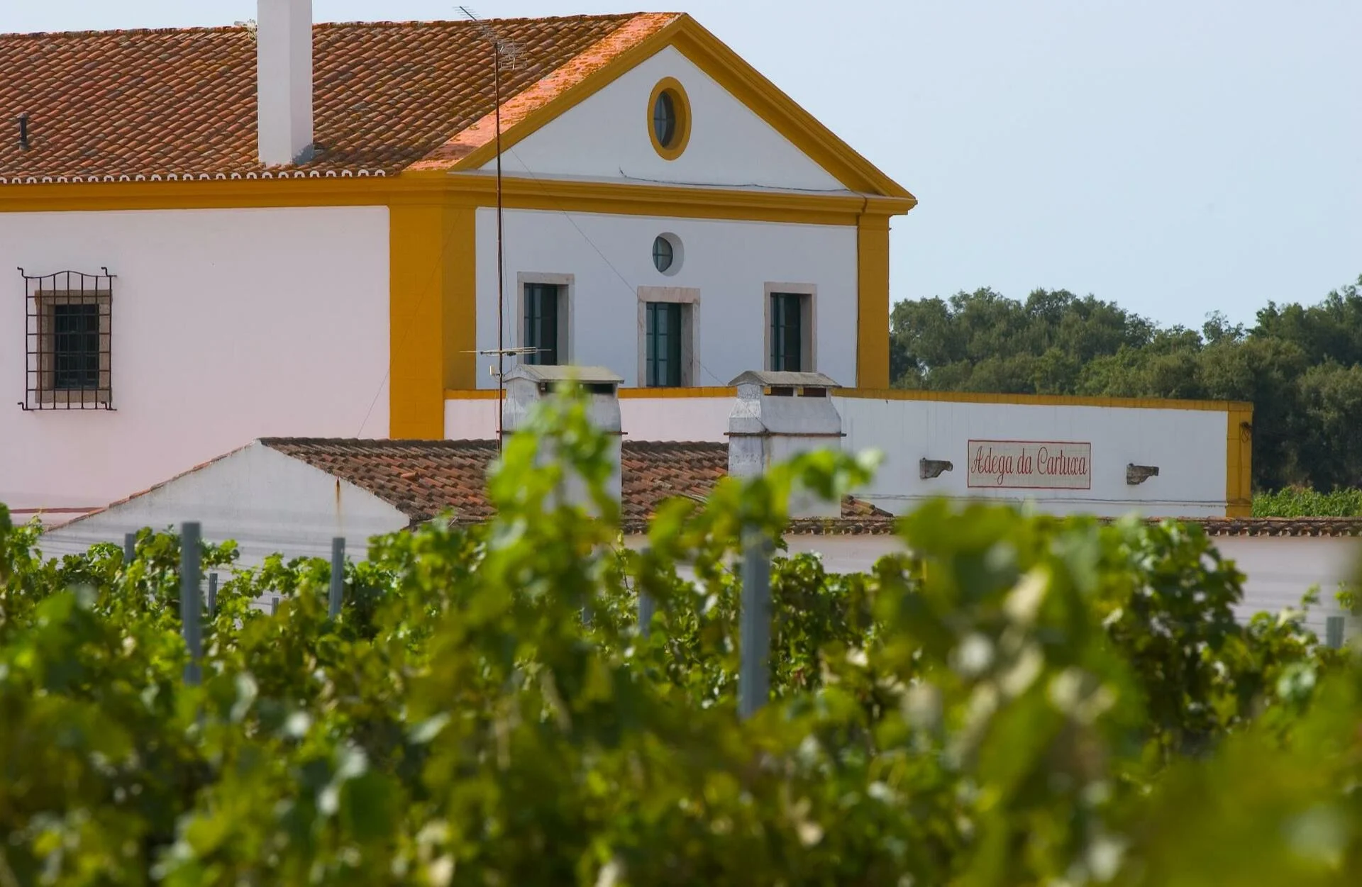 Enoturismo Cartuxa – Visita Sto. Inácio de Loyola