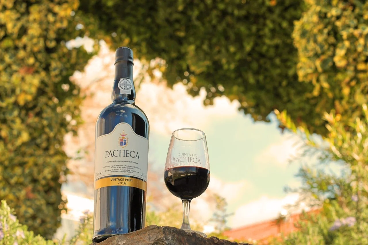 Quinta da Pacheca – Visita & Prova de Vinhos