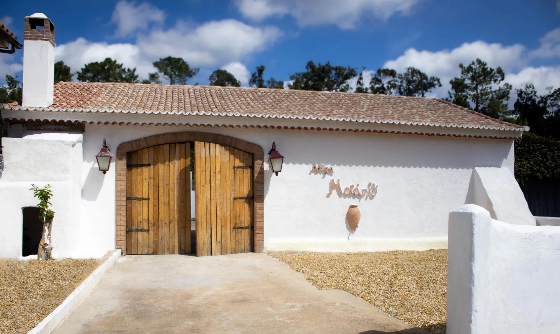 Adega Malápio – Vinho de Talha & Leitão à Bairrada