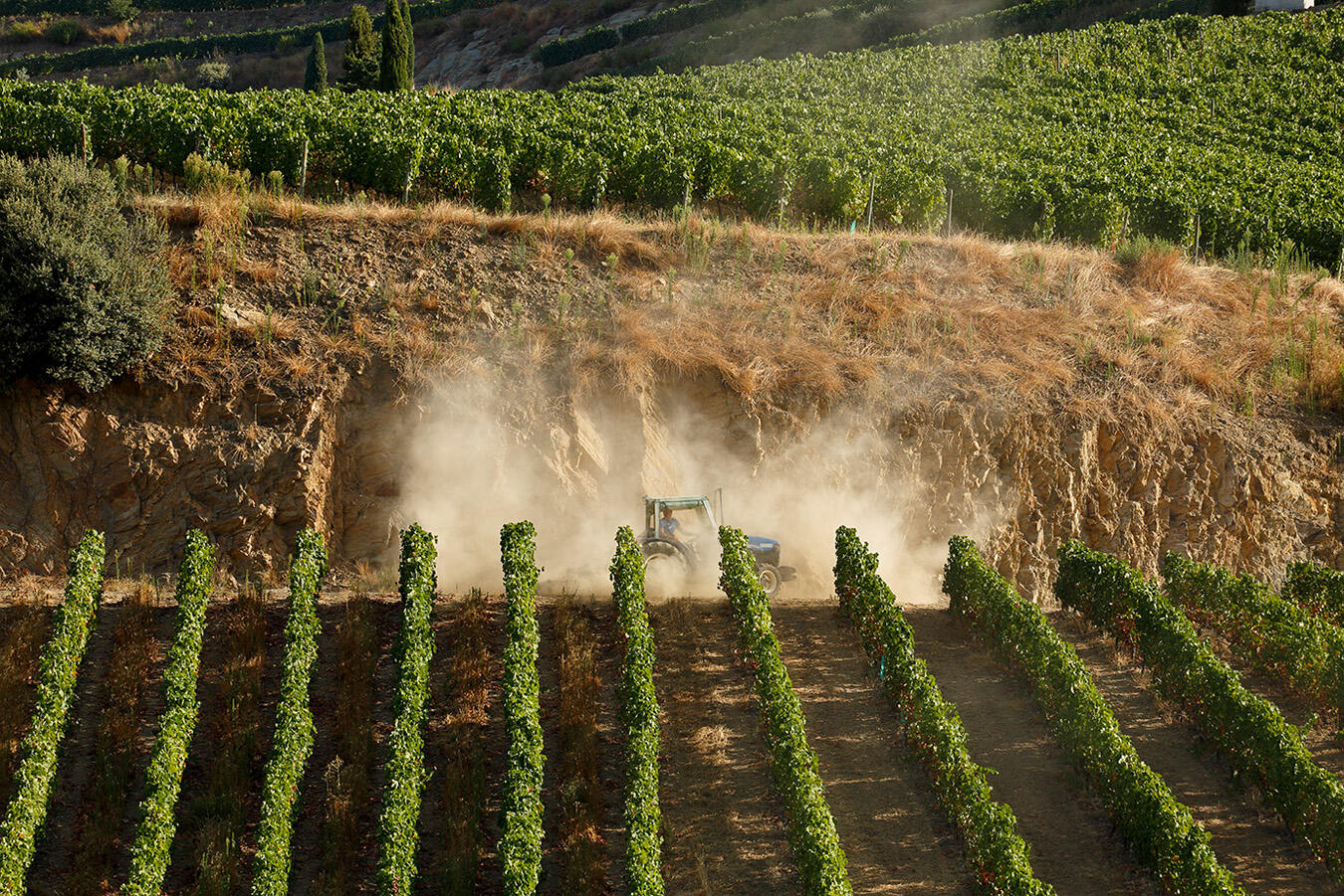 Quinta de Ventozelo – Piquenique