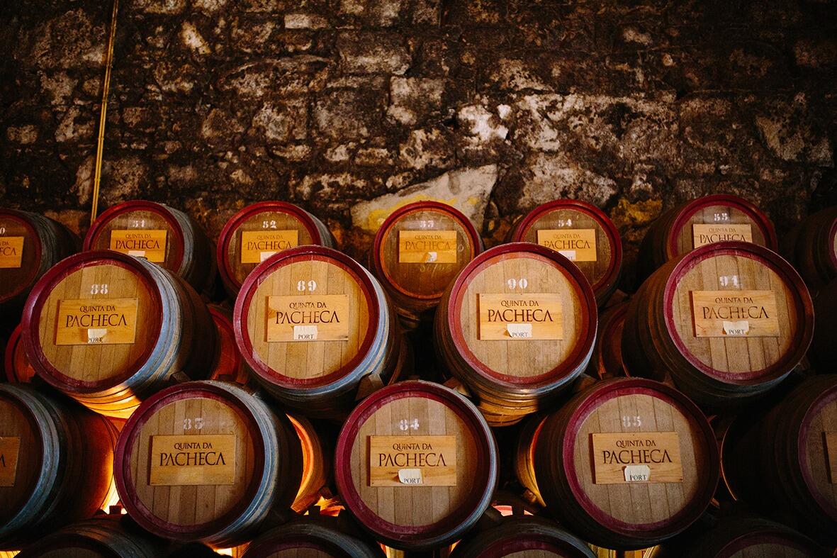 Quinta da Pacheca – Programa de Vindima