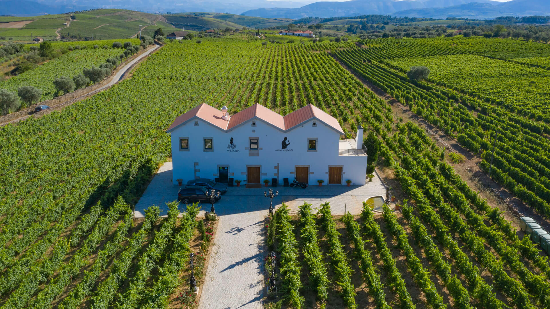 Quinta da Avessada – Visita & Prova de Vinhos