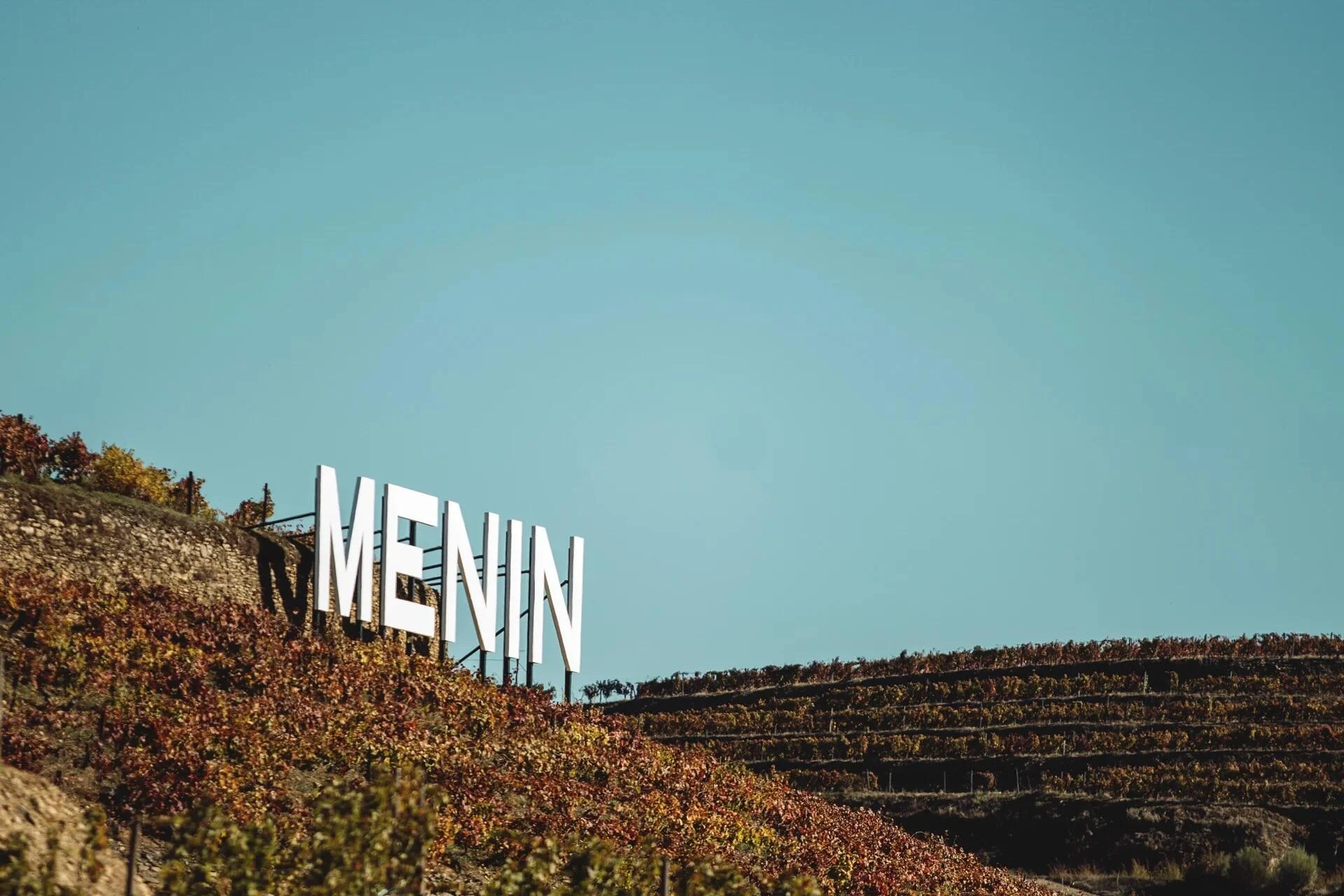 Menin Douro Estates – Prova Reserva
