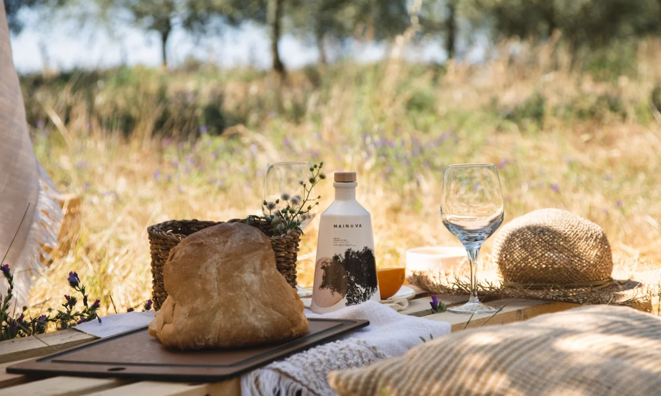 MAINOVA – Visita, Prova & Almoço Leve