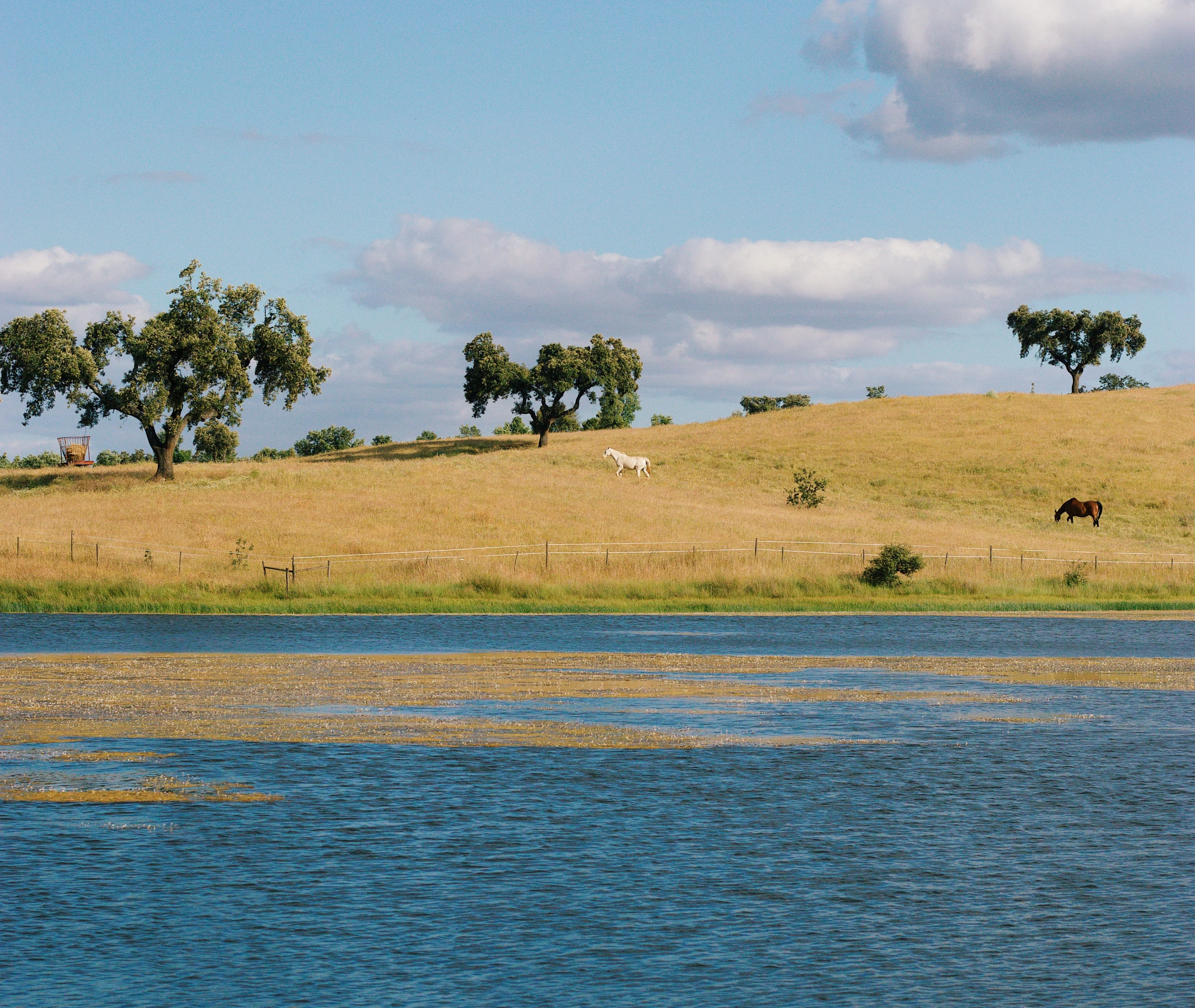 Casa Relvas – Rota da Biodiversidade