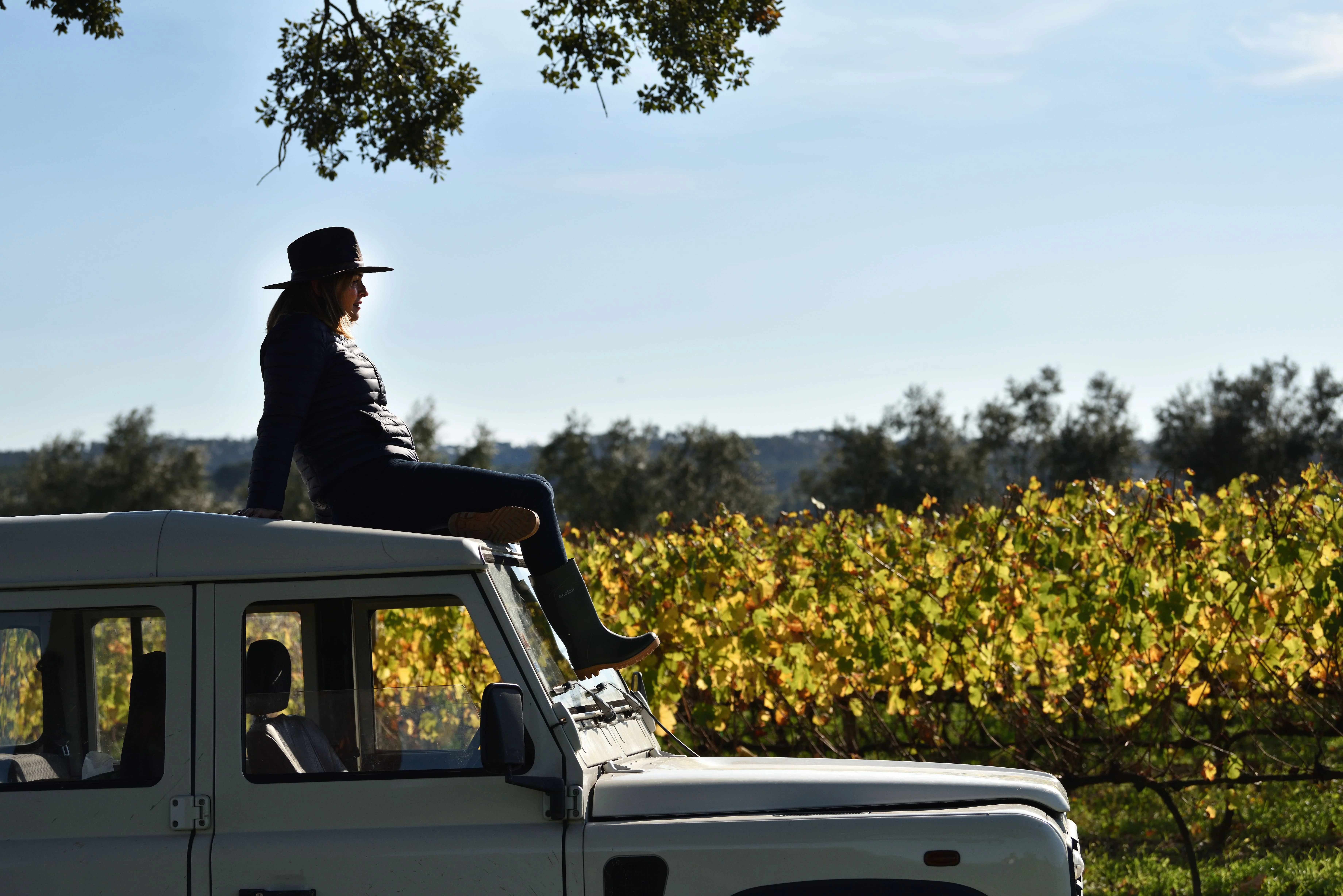 19|90 Wine Center Santar–Santar Vila&Vinha by Jipe