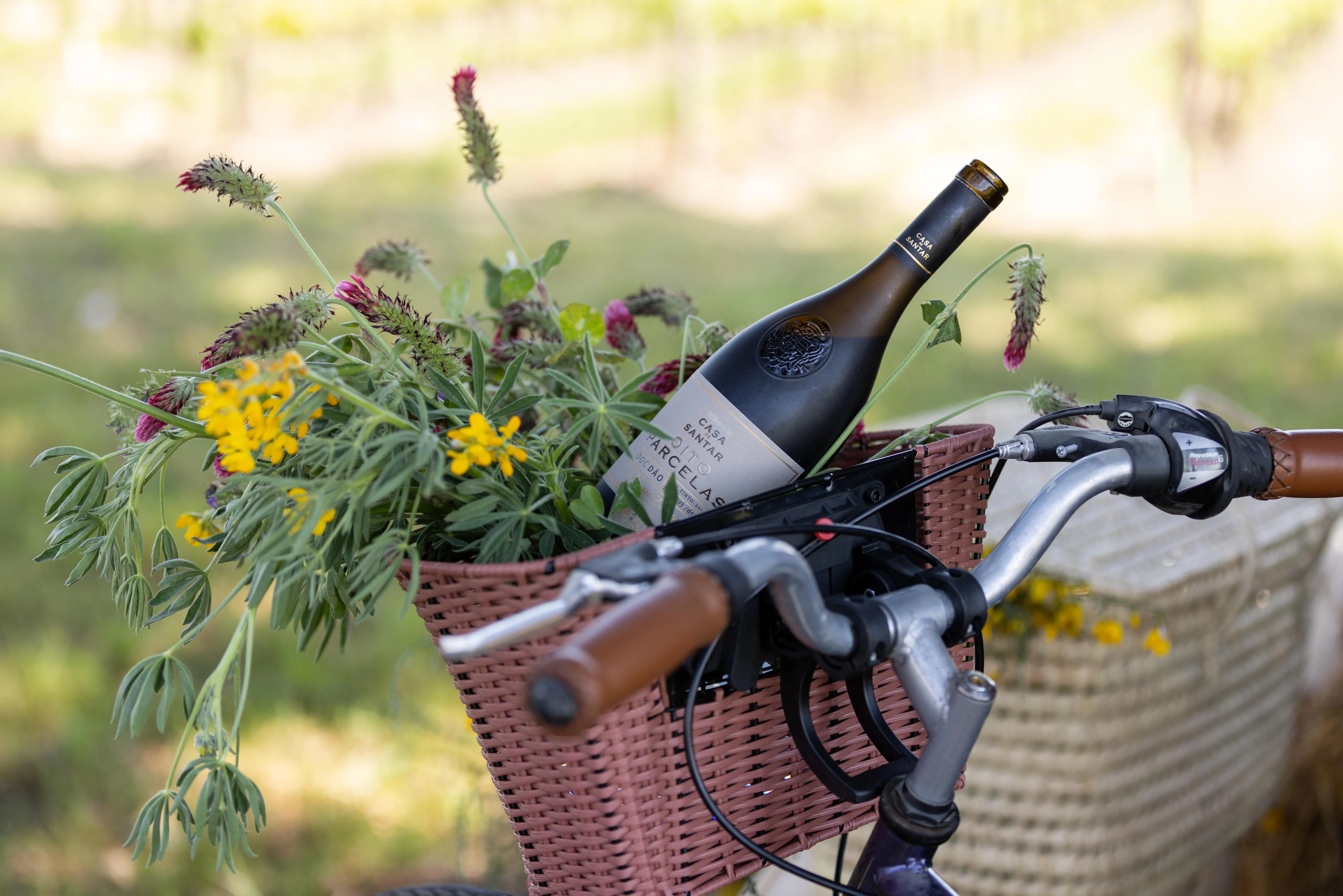 19|90 Wine Center Santar – 3 Terroirs Prestige