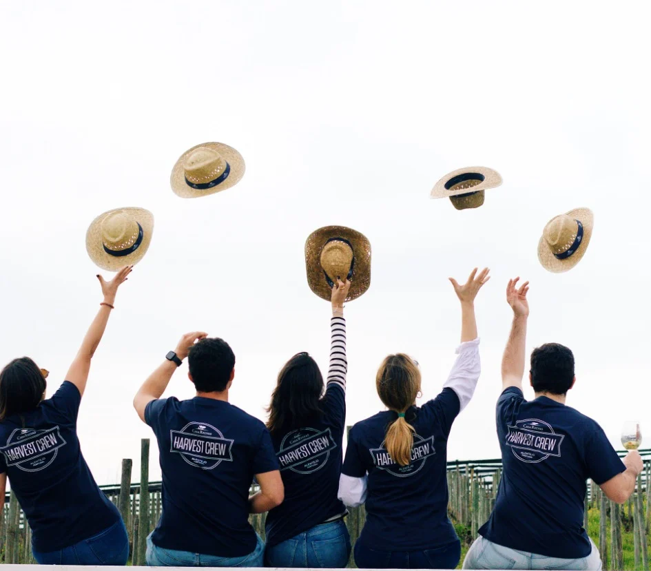 Casa Relvas – Programa de Vindima