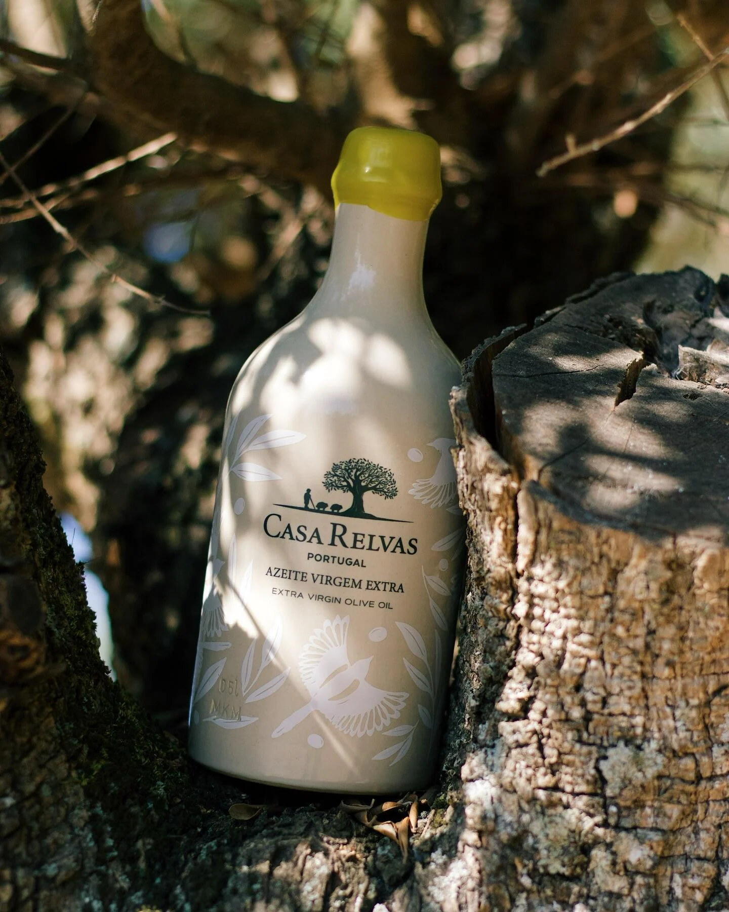 Casa Relvas – Prova de Vinhos & Azeites no Lagar