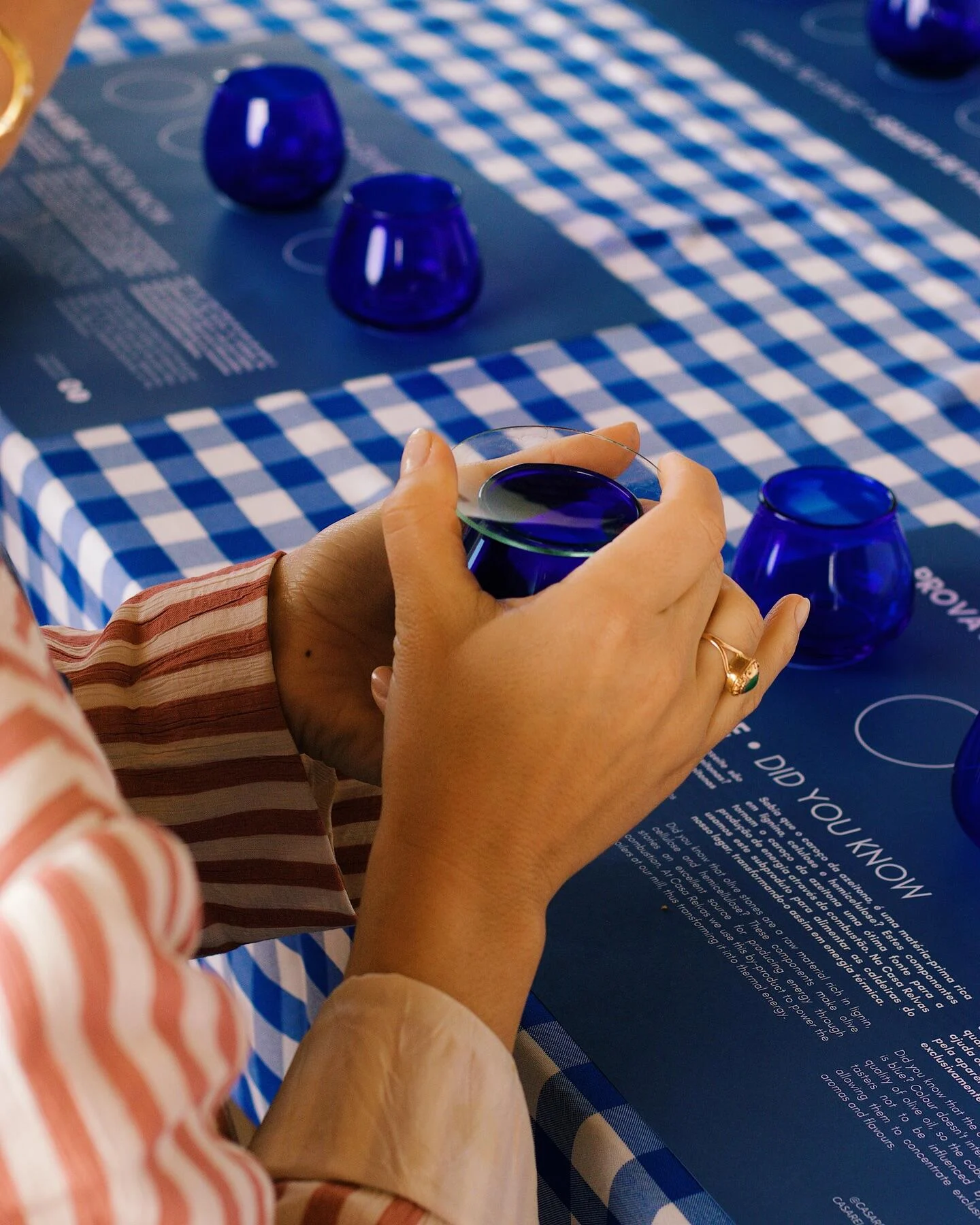 Casa Relvas – Experiência Gastronómica no Lagar