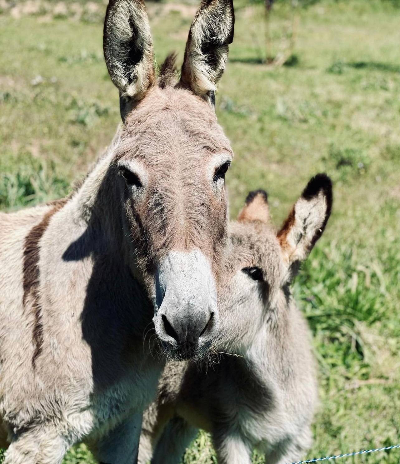 Mountain bike ride and tasting