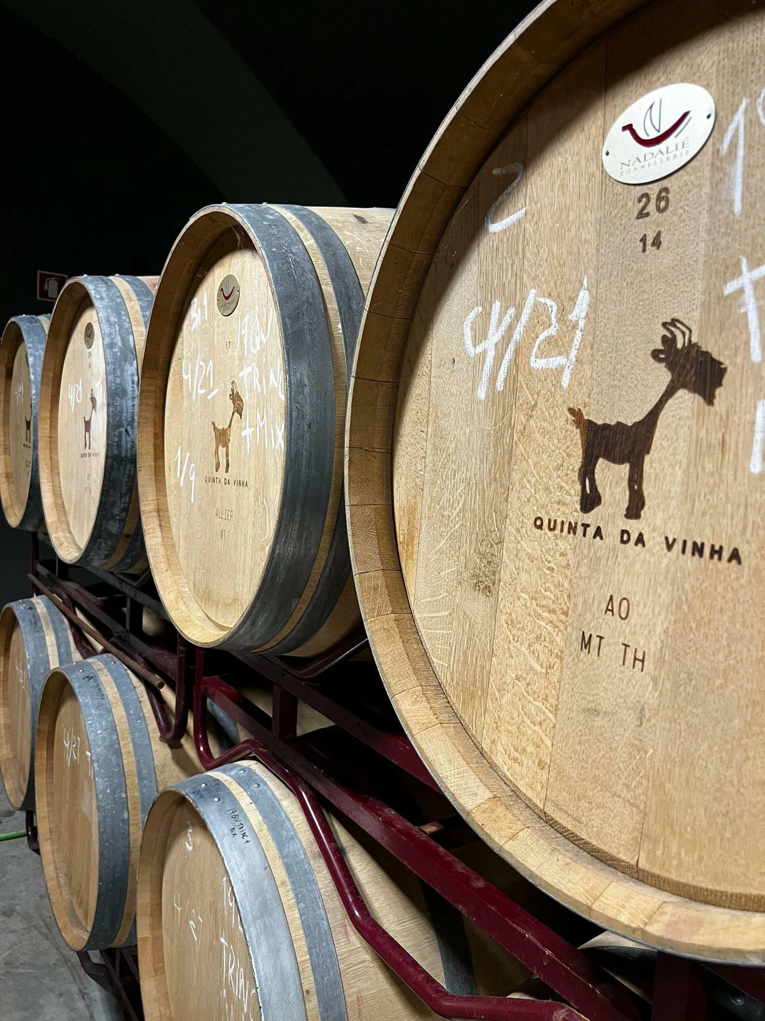 Cabrita Wines – Visita & Prova Classic