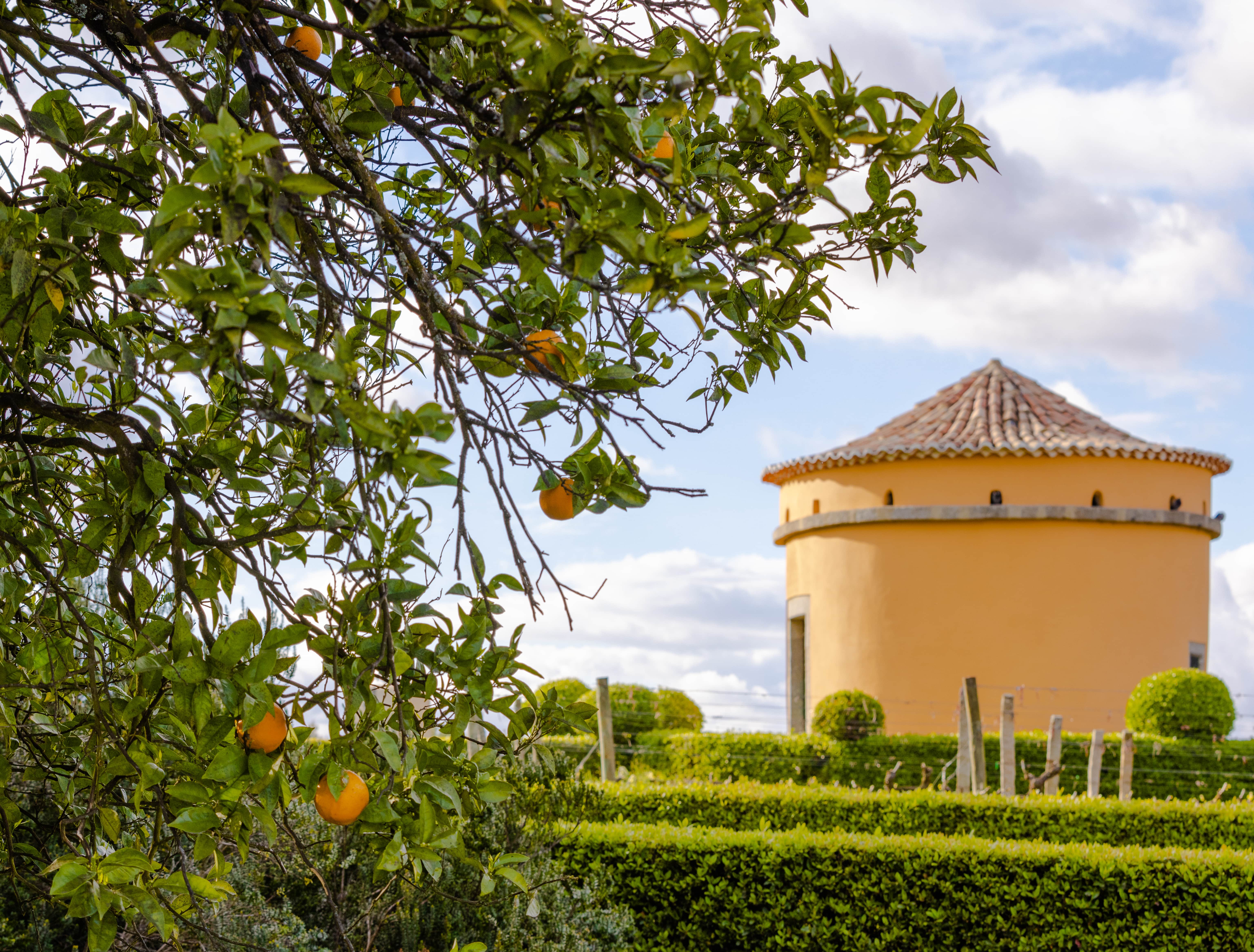 19|90 Wine Center Santar–Santar Exclusive Vintage