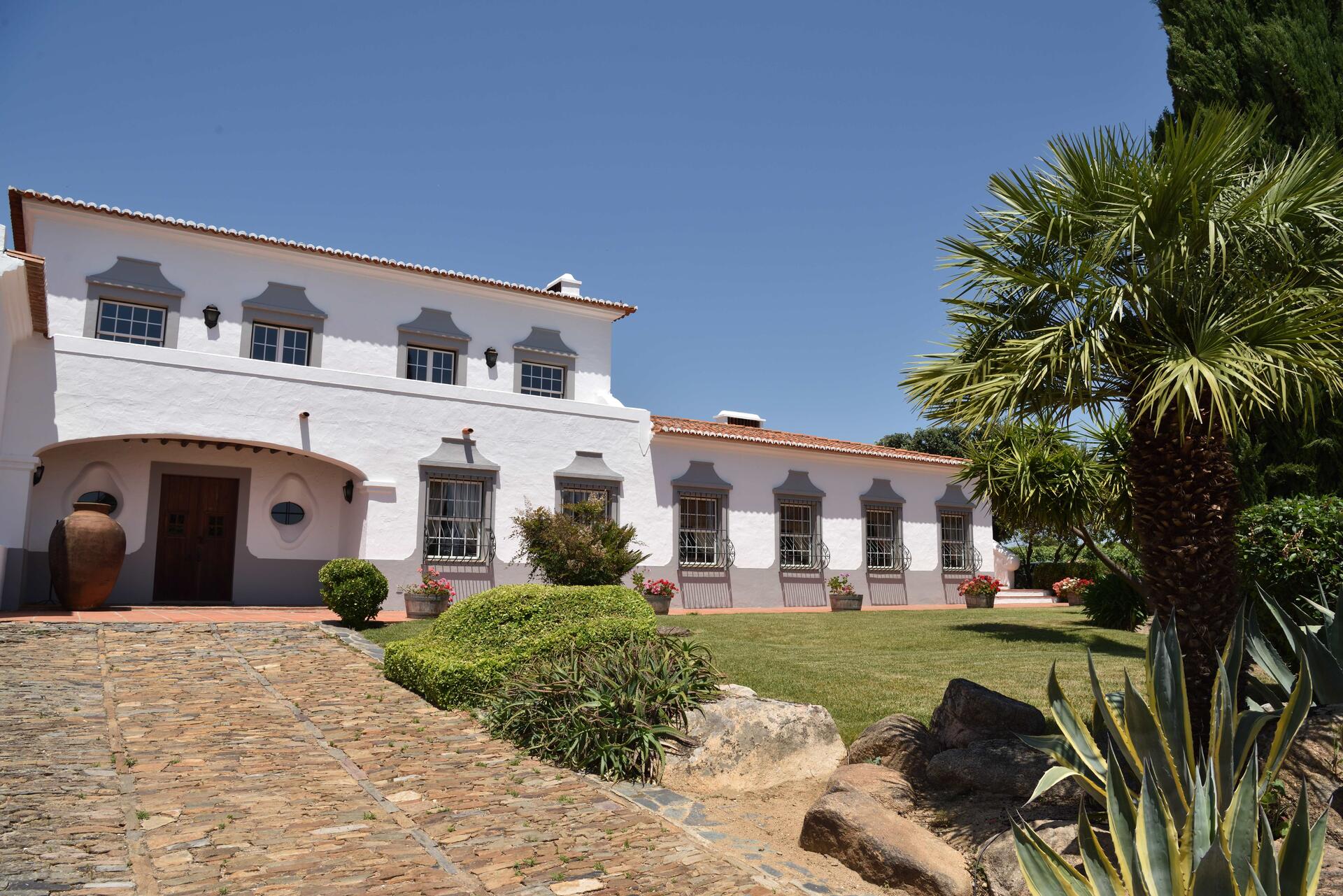 João Portugal Ramos – Vindimas Experience