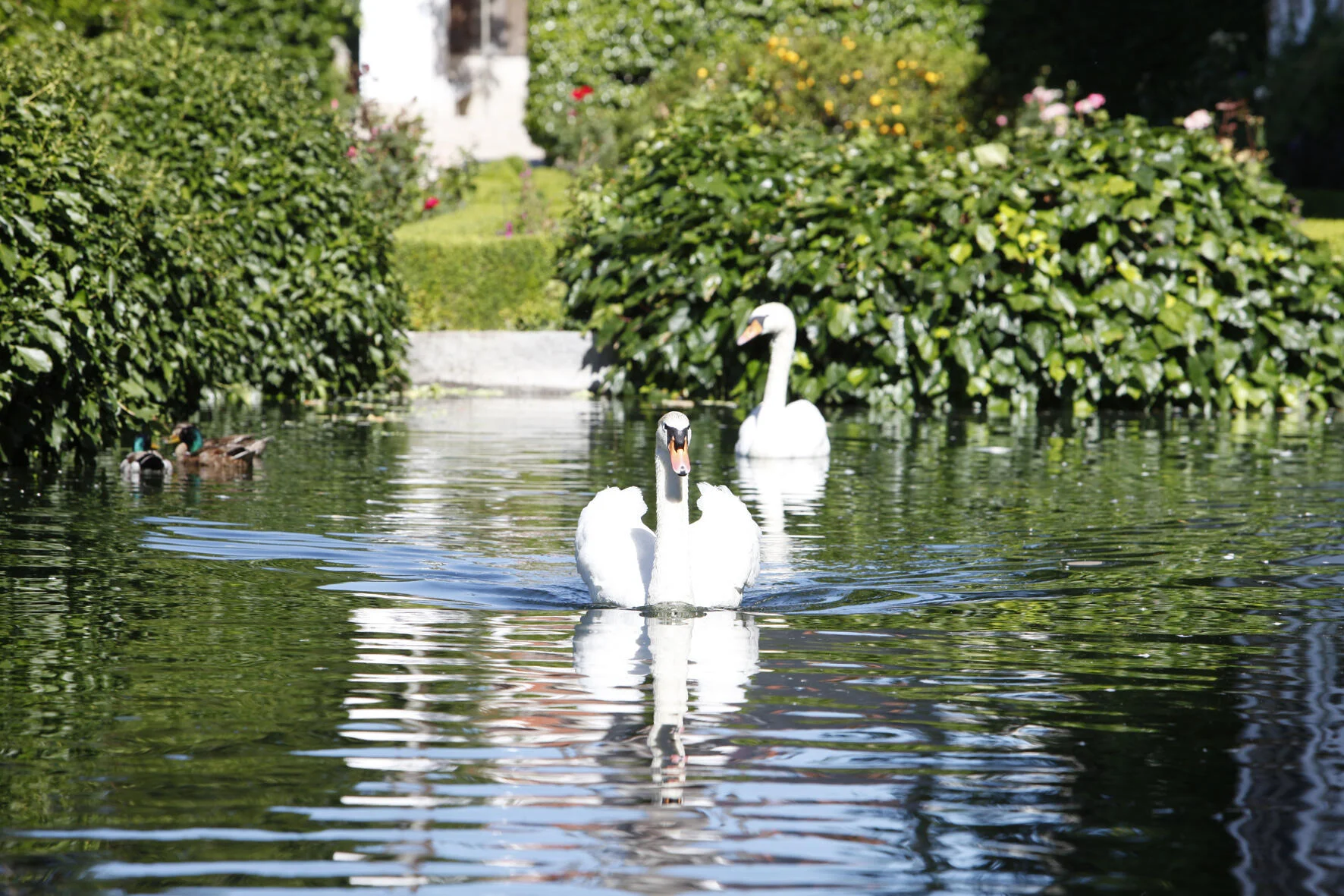 Parador Casa da Ínsua – Visita & Prova Completa