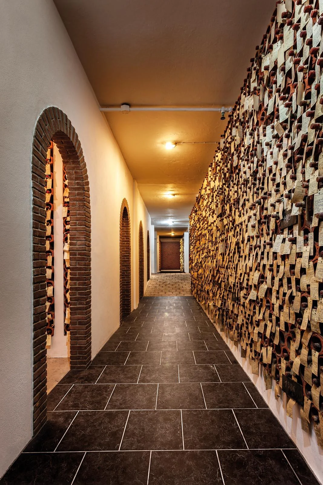 Adega de Borba – Visita & Prova Premium