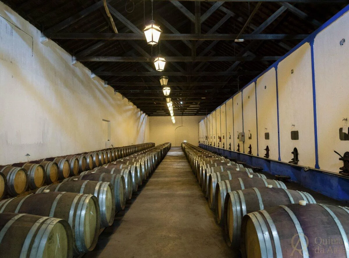 Quinta da Atela – Prova com o Enólogo