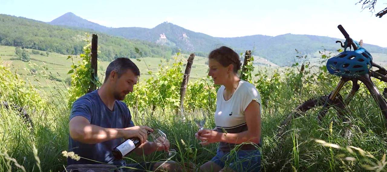 Bike, Picnic and Wine