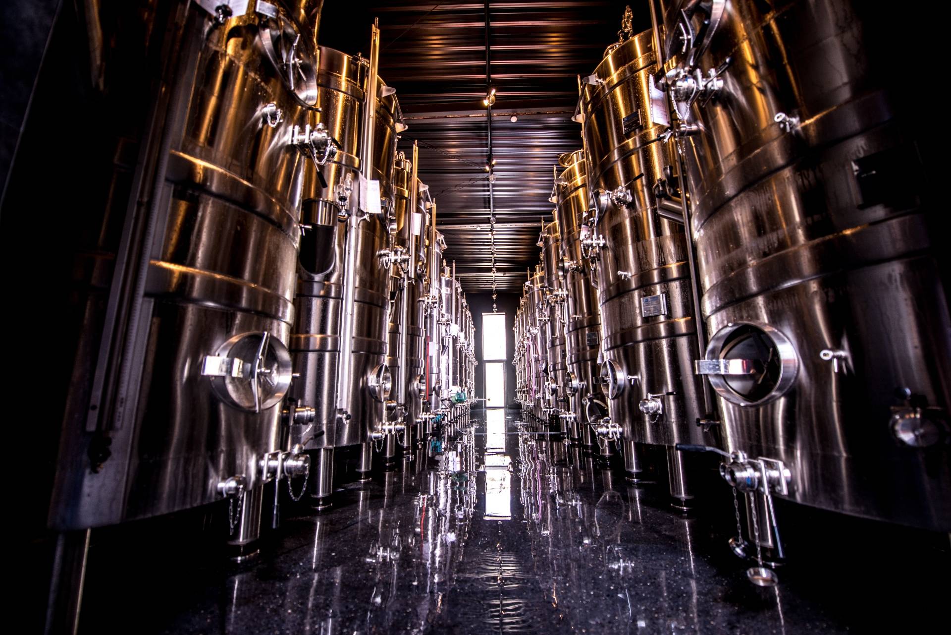 Discovery Leclerc Briant