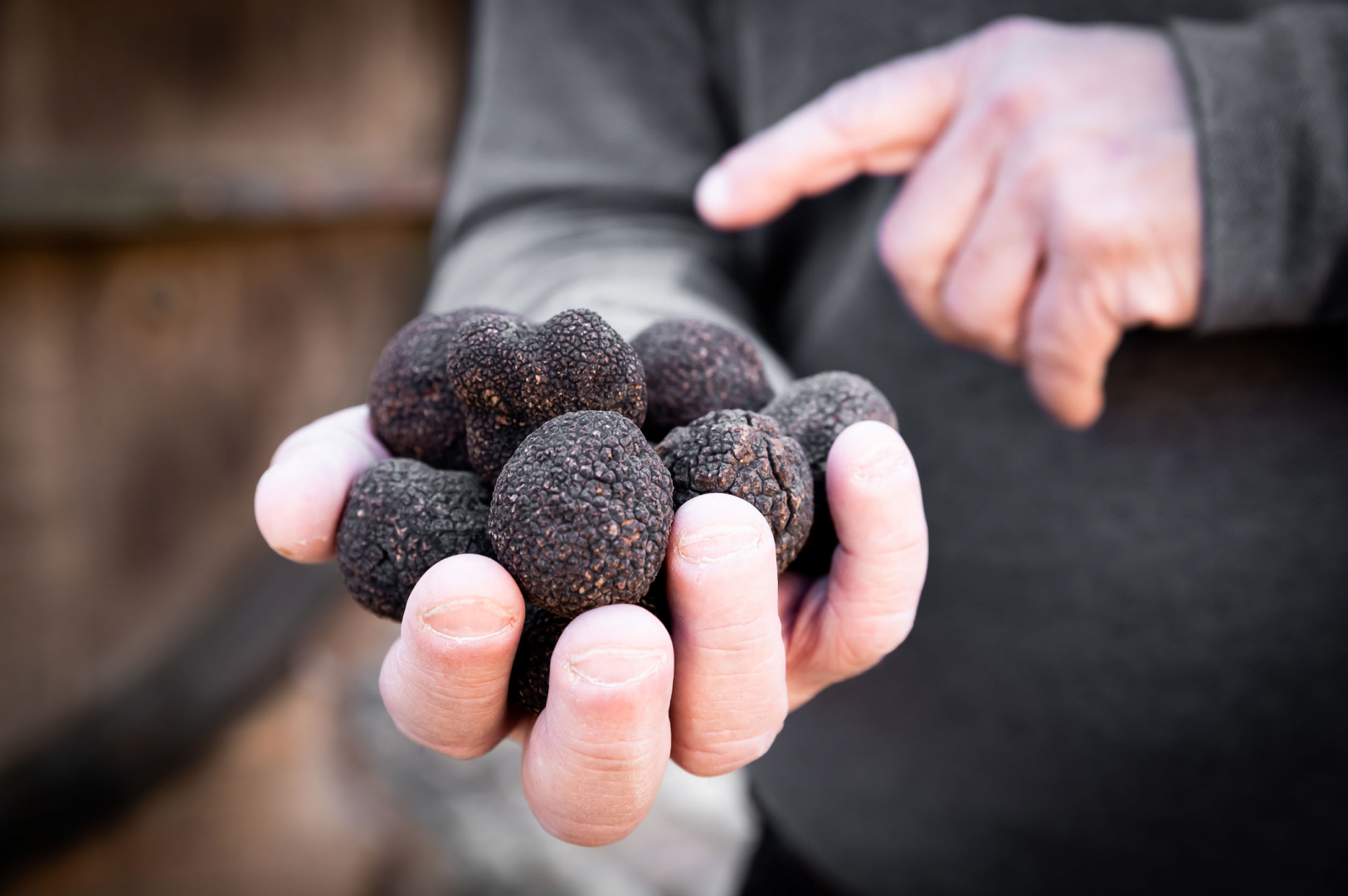 Truffle Lunch Experience