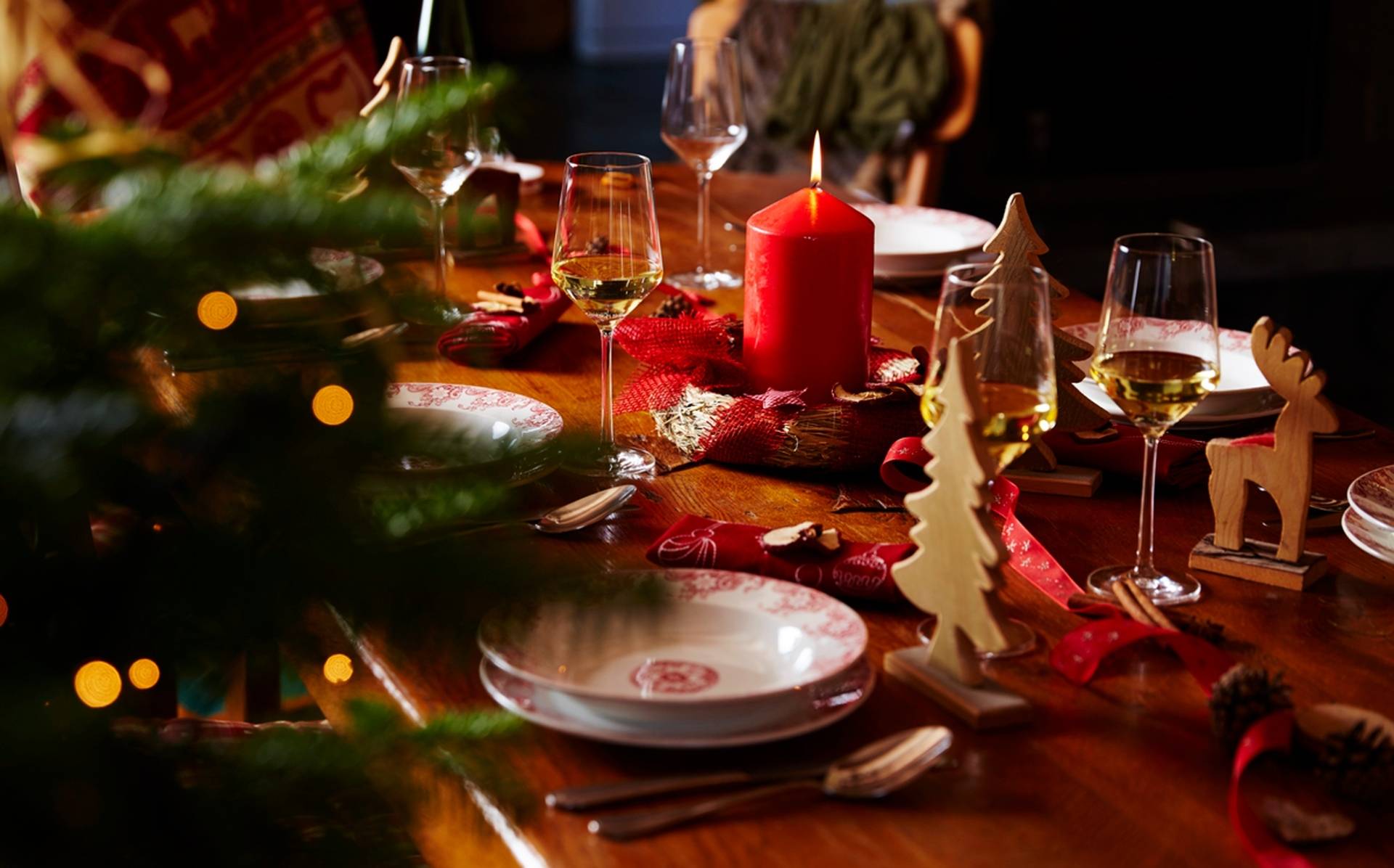 Immersive wine cellar tour and Christmas meal