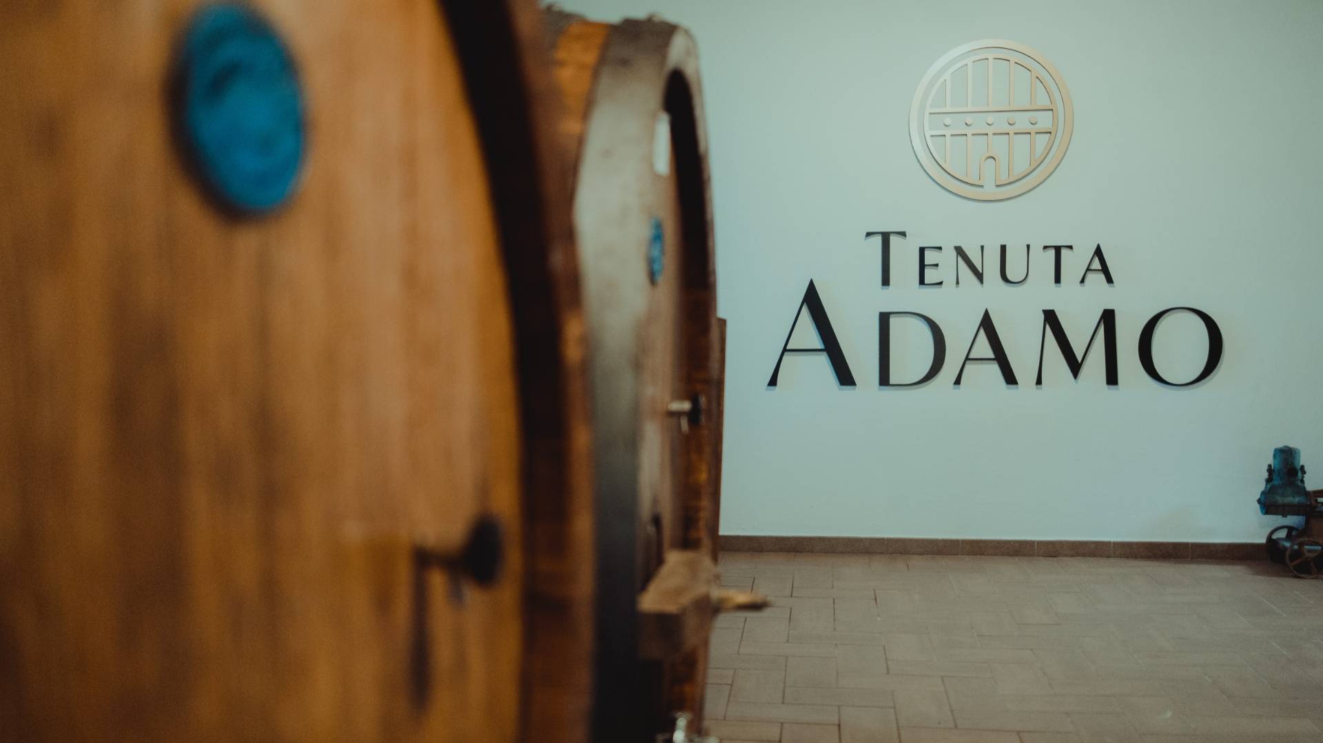 Lucca: Wine Tasting Experience